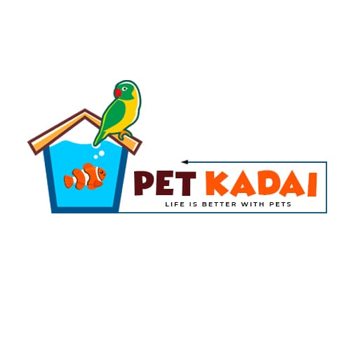 Pet Kadai - Online Aquarium Store in India